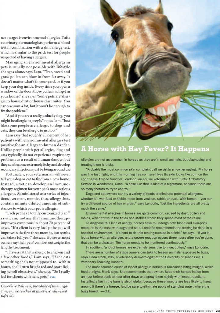 The Animal House Buzzards Bay, MA Interesting Information